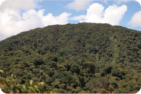 Kindicocha reserva protegida Rejoya Buenoy Dantakunapa Miskyllactama Murrucucu Yumartán