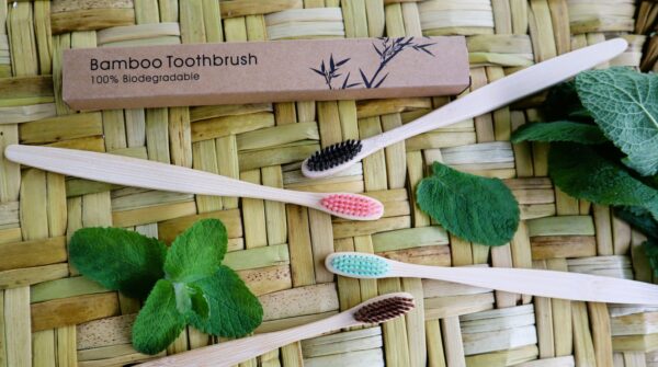 Cepillo de Dientes Ecológico de Bambú